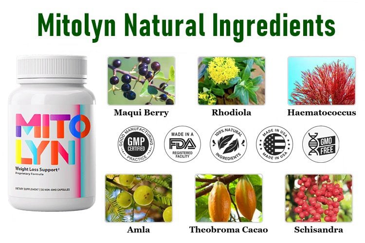supplement-facts-mitolyn